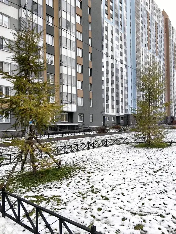 сдается 1-к. квартира: последний 23 этаж, кухня 10м, дети, животные ++ - Фото 5