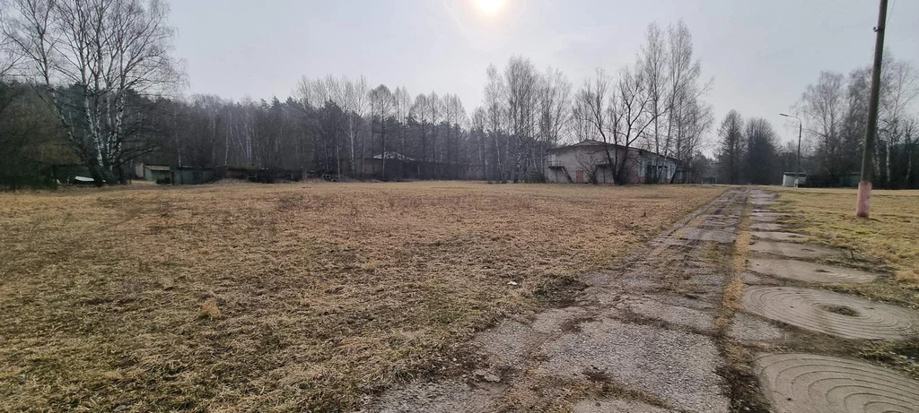 База отдыха "Лесные дали" - Фото 4