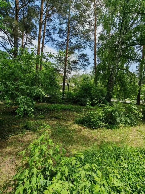 Продажа квартиры, Новосибирск, ул. Героев Труда - Фото 0