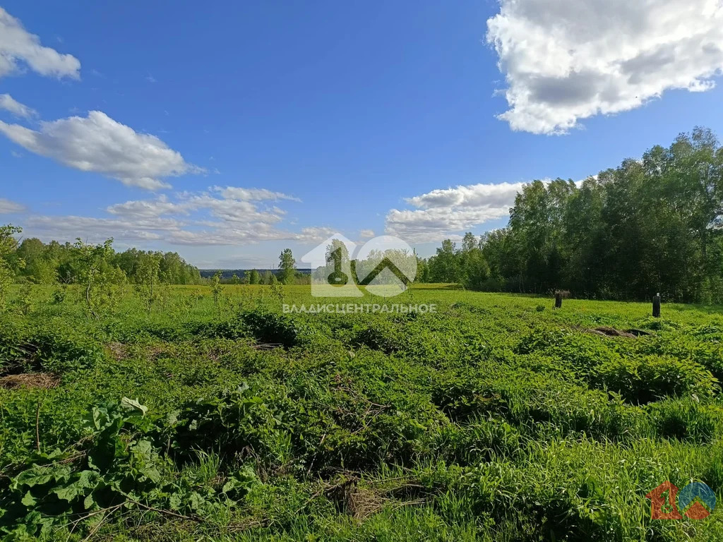 Новосибирский район, станция Мочище, 1-й Садовый переулок,  дом на ... - Фото 3