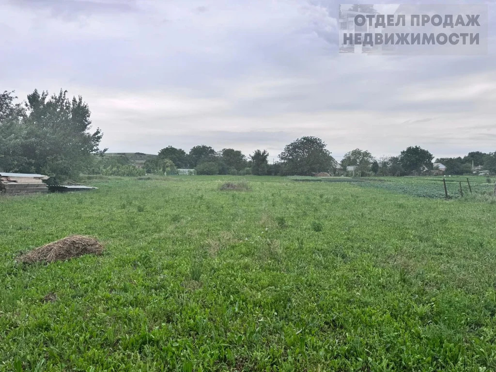 Участок - Фото 5