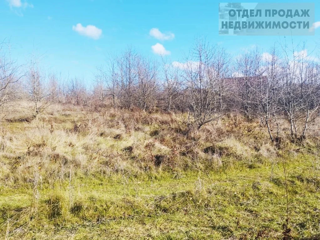 Объект 537728 - Фото 1