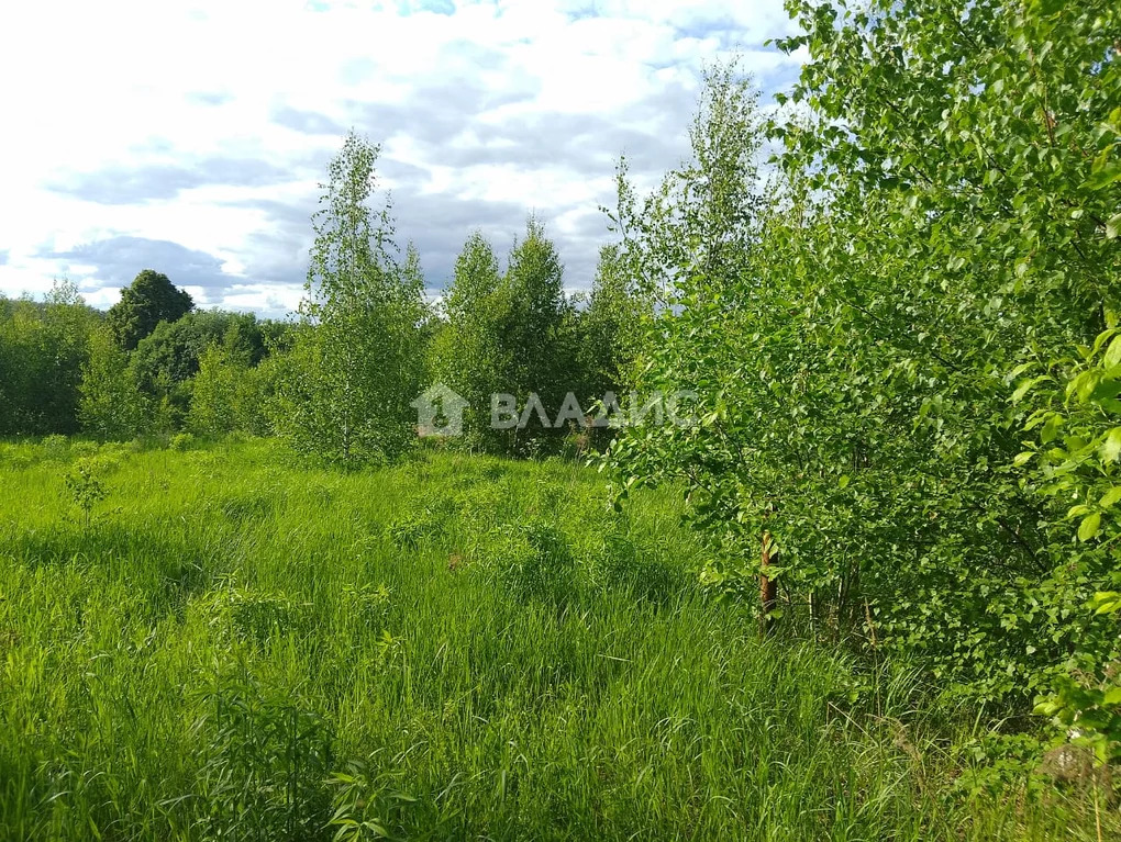 Суздальский район, село Суворотское, земля на продажу - Фото 11