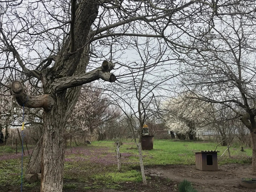 Продажа дома, Темрюк, Темрюкский район, ул. 27 Сентября - Фото 30