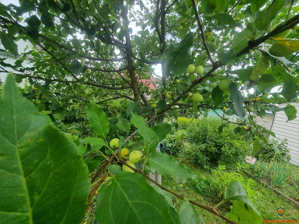 Продажа дома, Домодедово, Домодедово г. о., Московская обл - Фото 6