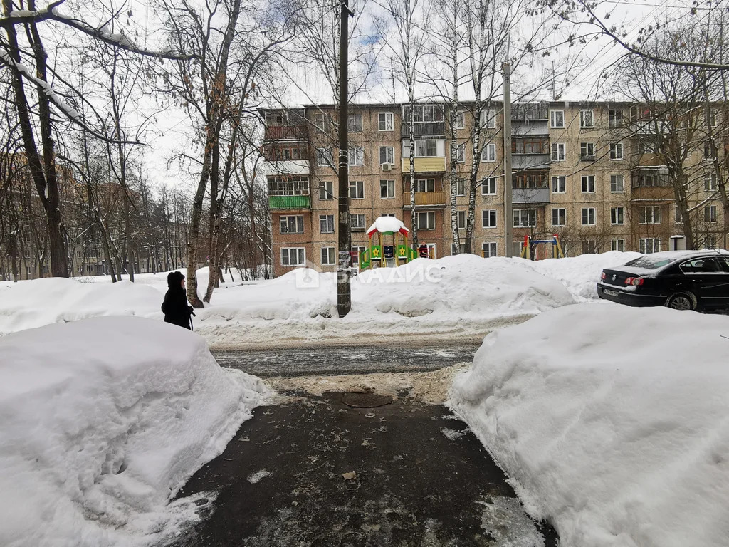 городской округ Пушкинский, Пушкино, Московский проспект, д.41/12, ... - Фото 0