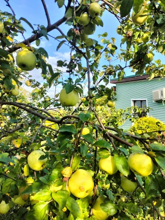 Загородный дом в кп Приозерье Малоярославецкого района - Фото 19