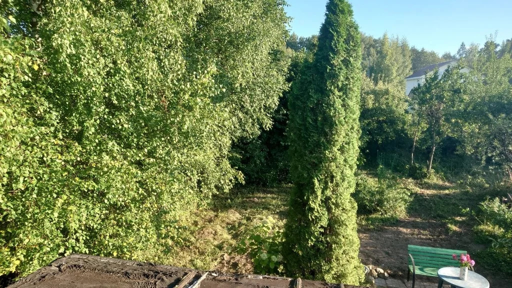 Продажа дома, Чухолово, Шаховской район - Фото 7