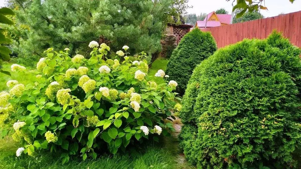 2-этажный дом, д.Старки, Черноголовка - Фото 13