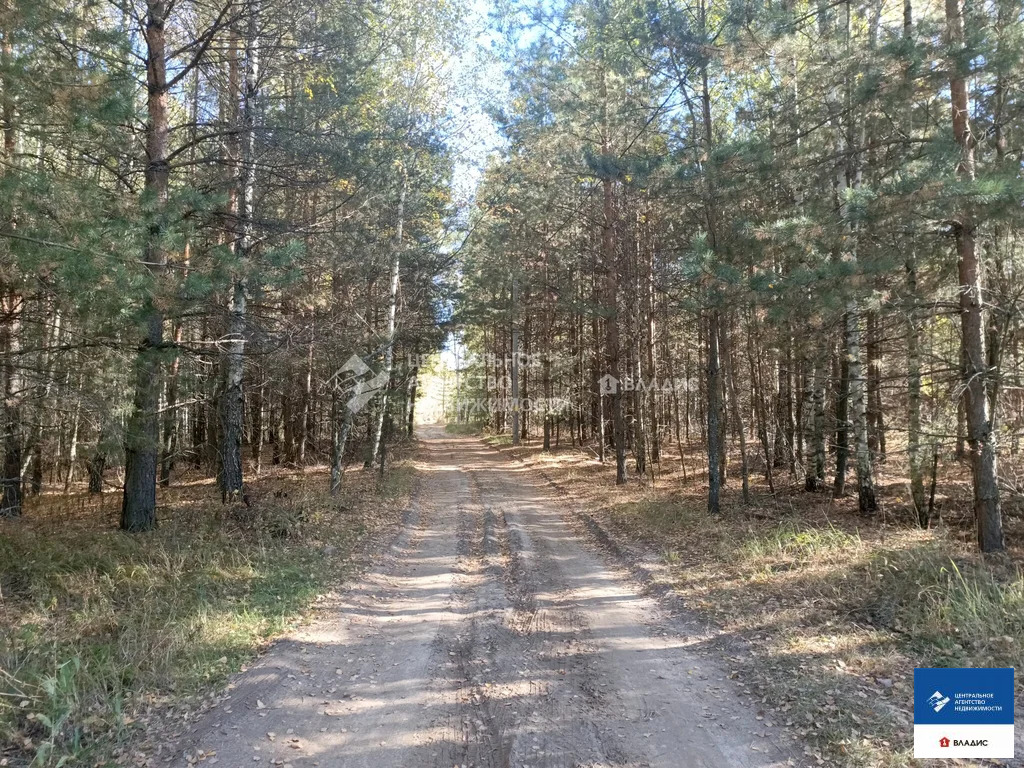 Продажа участка, Спасский район - Фото 1