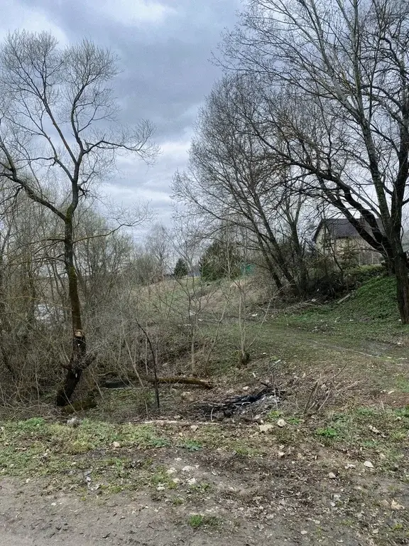Продам участок Счастье совсем бесплатно Тульская область, д. Сетка - Фото 3