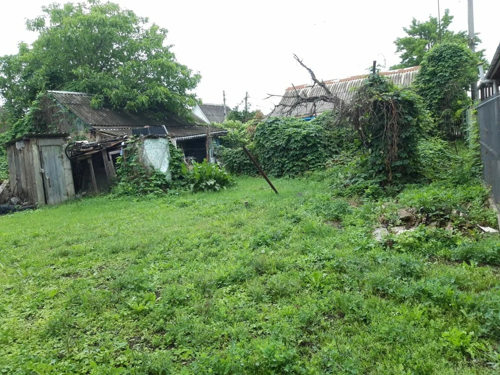 Продажа дома, Крымск, Крымский район, ул. Дзержинского - Фото 14