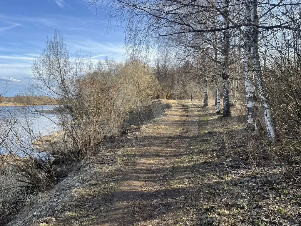Дом 255,1 м на участке 12 сот. - Фото 23
