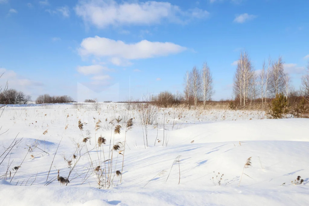 Продажа земельного участка, Червишево, Тюменский район, Тюменский р-н - Фото 11