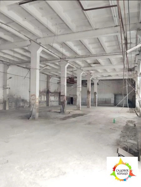 Лобня - Фото 5