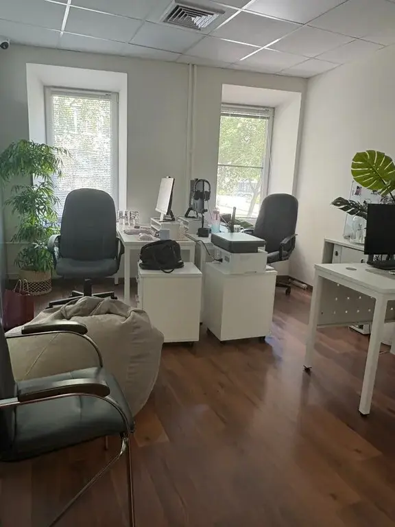 Бизнес особняк в ЦАО - Фото 3