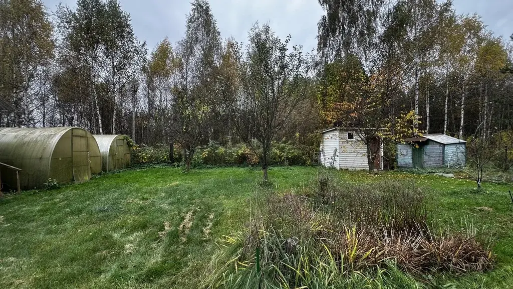 Воскресенский район, пгт. Белоозерский, СНТ «Экспресс» - Фото 17