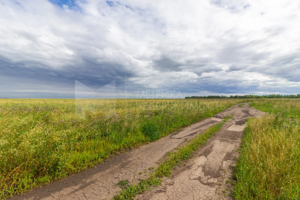 Продажа земельного участка, Тюменский район, Тюменский р-н - Фото 21