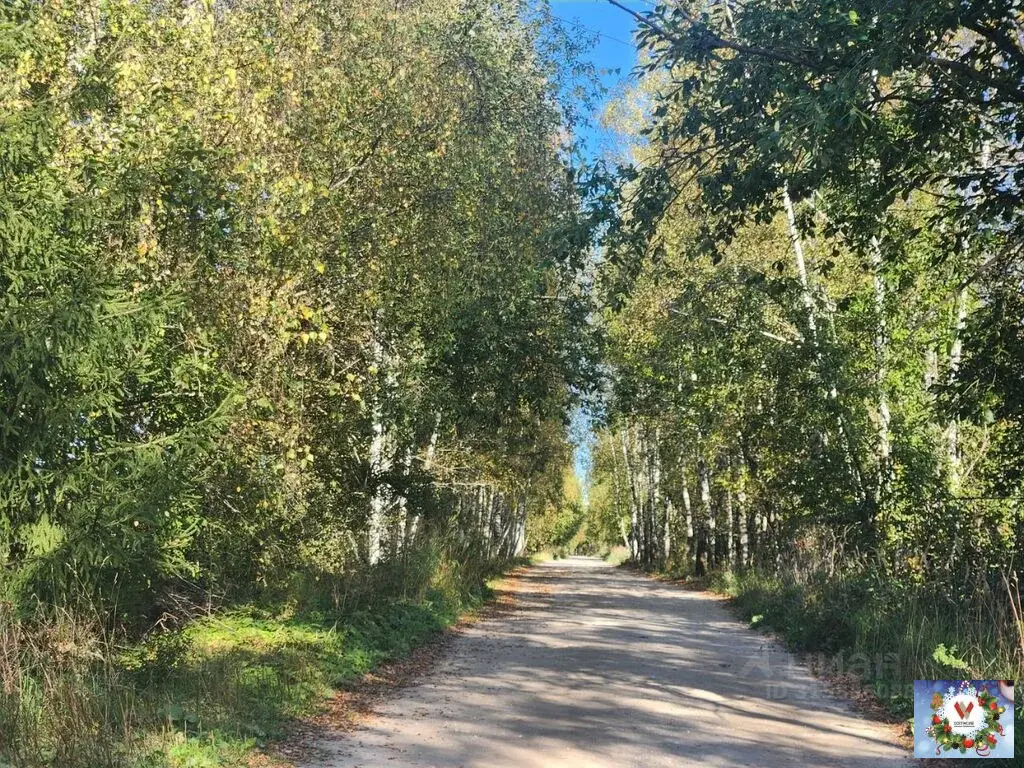 14 соток в деревне Бабурино  рядом озеро - Фото 17