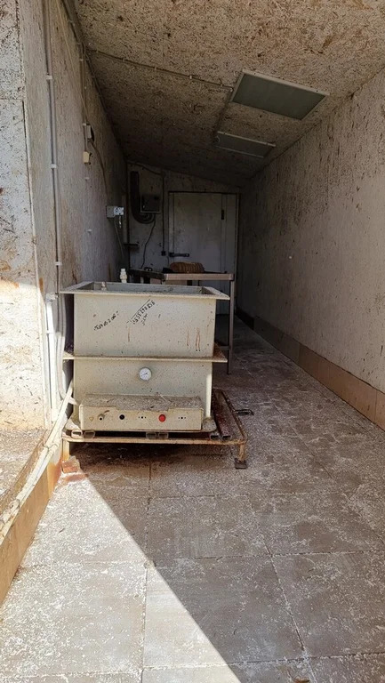 Продажа участка, Барышево, Выборгский район - Фото 19