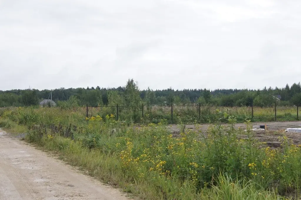 Опушке 2. Зеленая опушка 1. Бояркино Раменский район амбулатория. Фото и видео локация ДНП зеленая опушка 68.