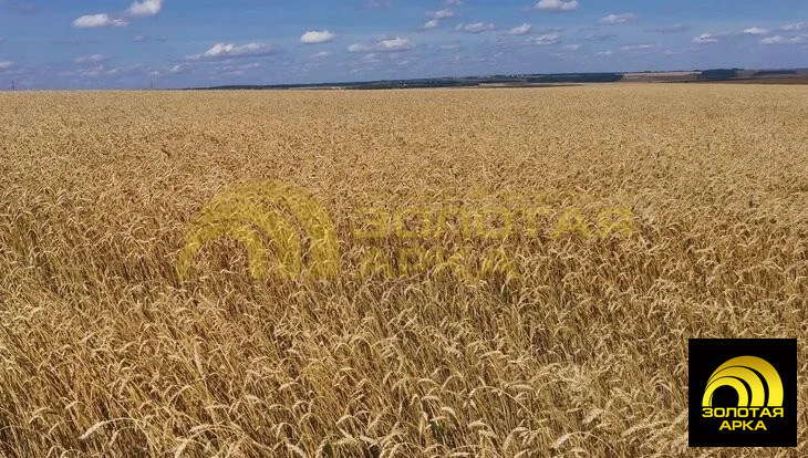 Продажа участка, Сенной, Темрюкский район - Фото 2