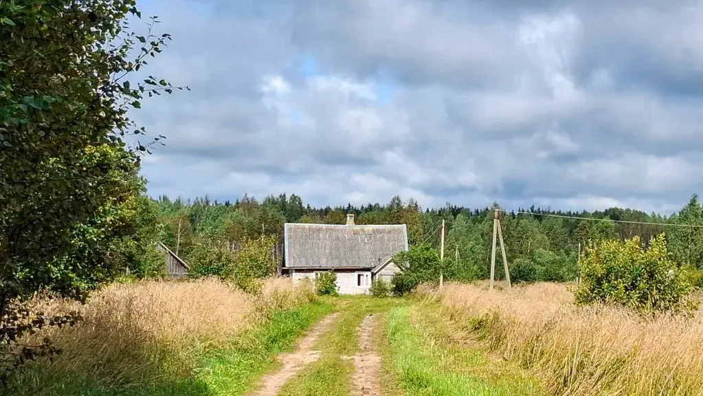 Добротный дом на хуторе под Псковскими Печорами, более 6-ти Га земли. - Фото 6