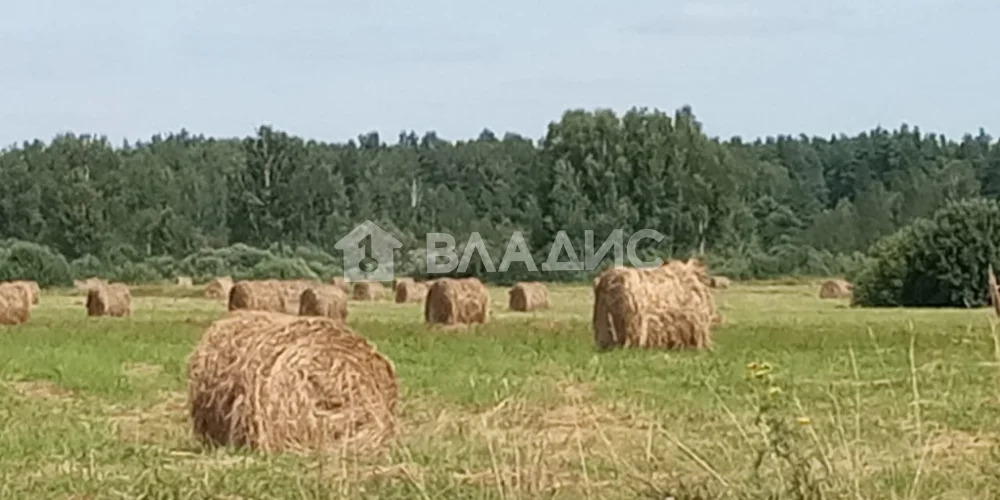 Петушинский район, садоводческое некоммерческое товарищество Сосновый ... - Фото 3