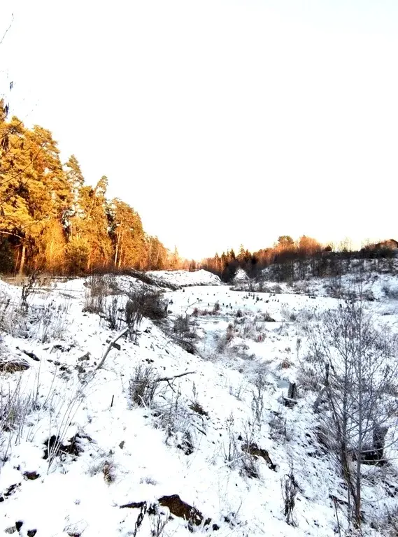 Участки ИЖС на Рублевке в тихом месте, рядом речка и лесной массив - Фото 9