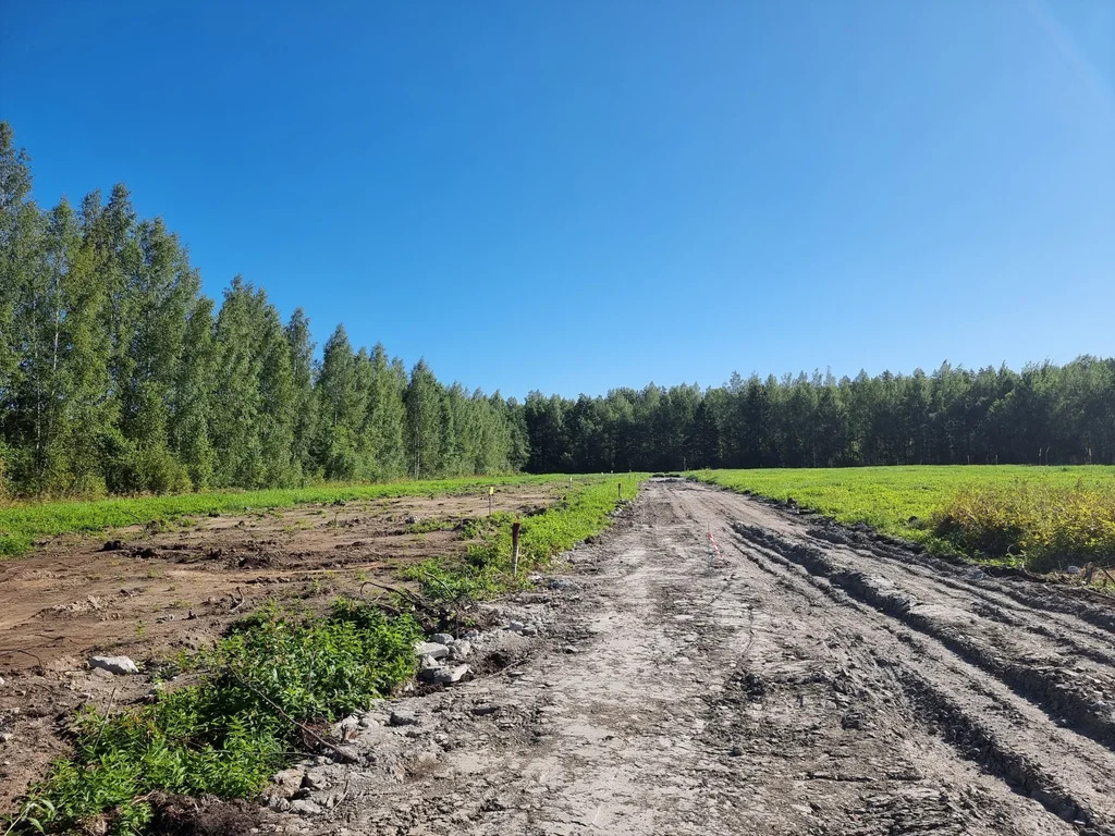 Продажа участка, Большие Пороги, Всеволожский район - Фото 14