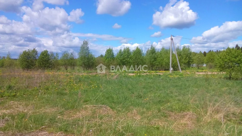 Ярославский район, деревня Глебовское, Центральная улица,  земля на ... - Фото 2