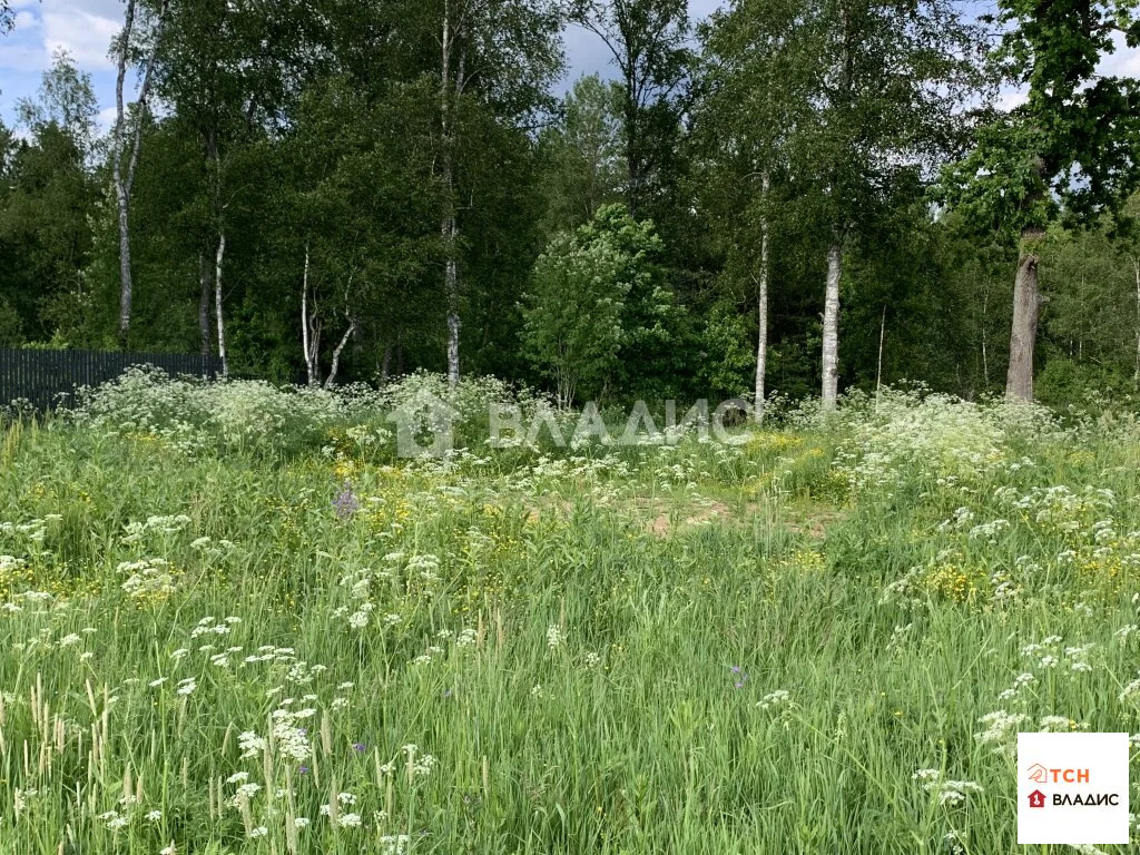 Продажа участка, Дмитровский район, улица Братьев Политовых - Фото 13
