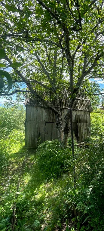 Продажа дома 69.8 м2 на участке 3 сот. - Фото 0