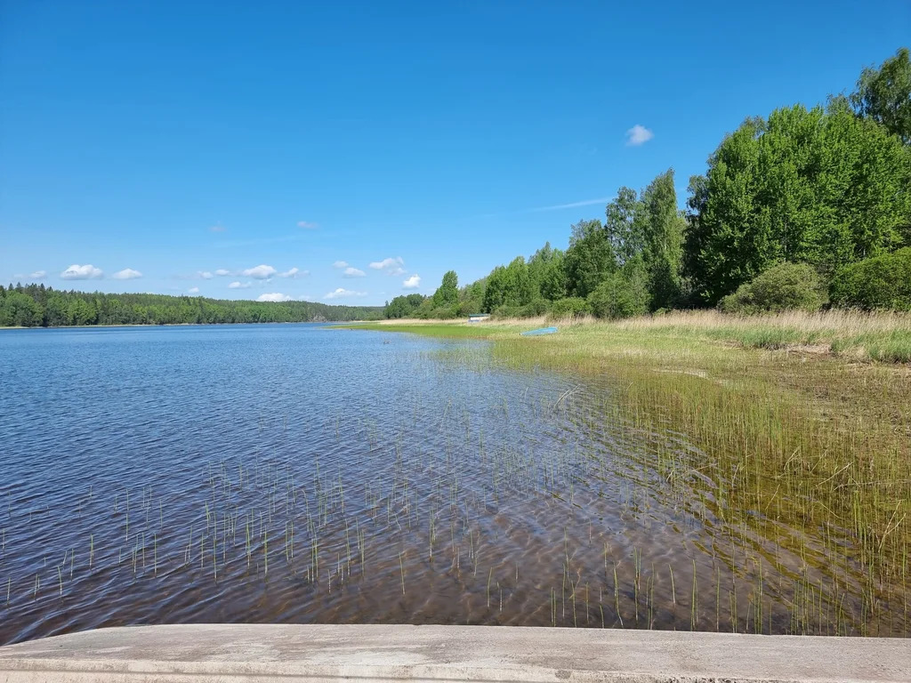 Продажа участка, Каменногорск, Выборгский район, ул. Никольская - Фото 19