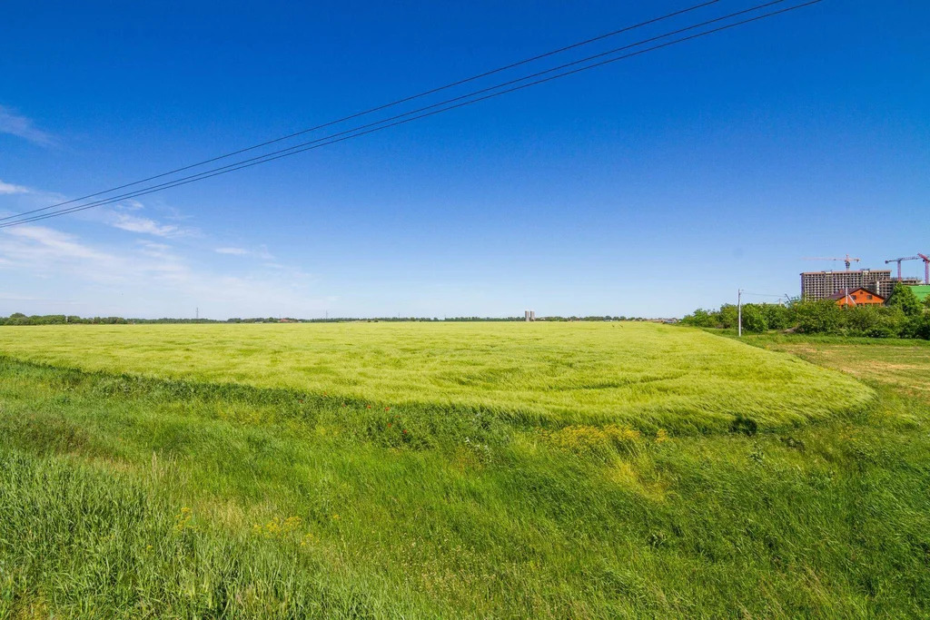 Продается земельный участок 1961 сот. - Фото 10