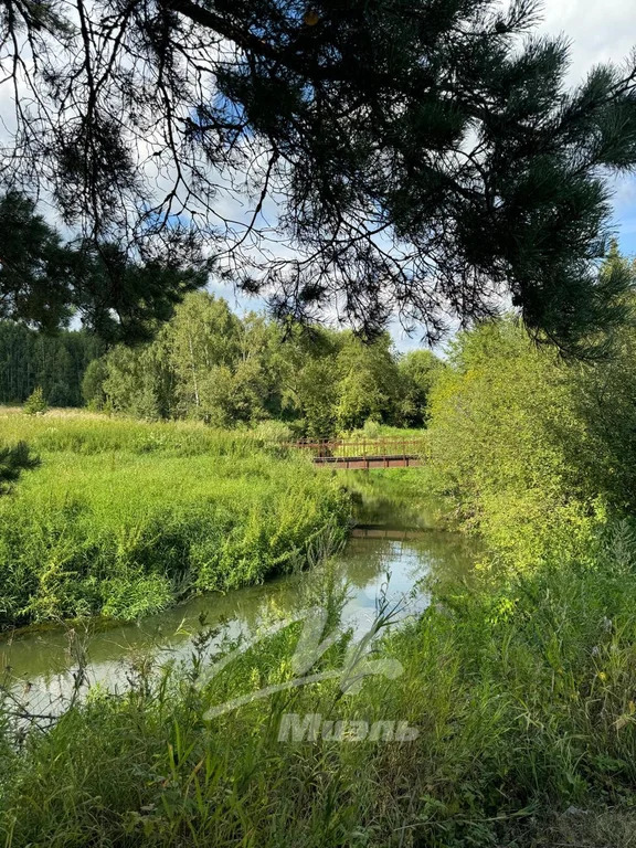 Продажа участка, Лычево, Сергиево-Посадский район, Сокол снт. - Фото 13