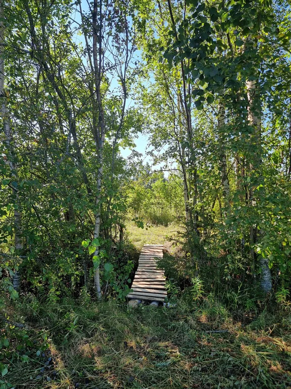 Продажа участка, Большие Пороги, Всеволожский район - Фото 8