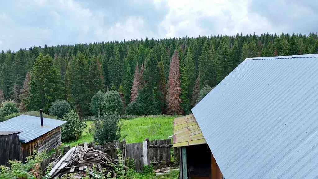 Дом по ул. Ключевская - Фото 2