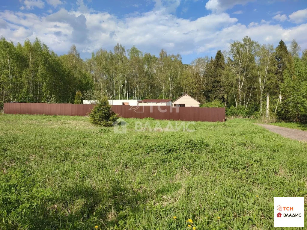 Продажа участка, Мамонтово, Богородский г. о., Малиновая улица - Фото 7
