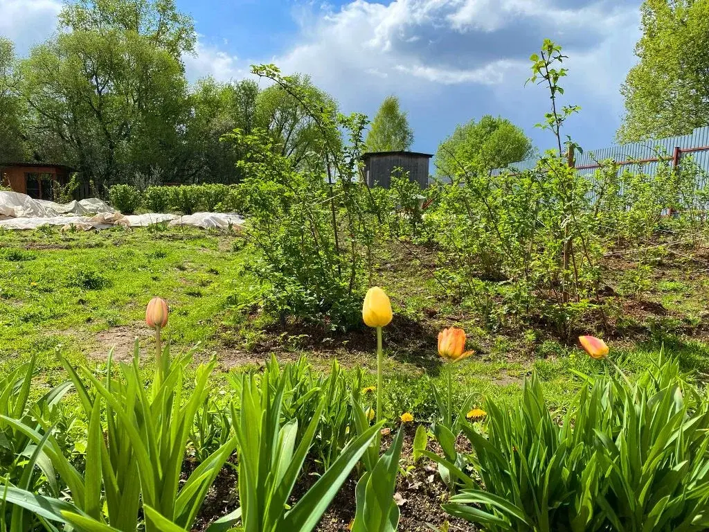 Дом в деревне Тимохино - Фото 31