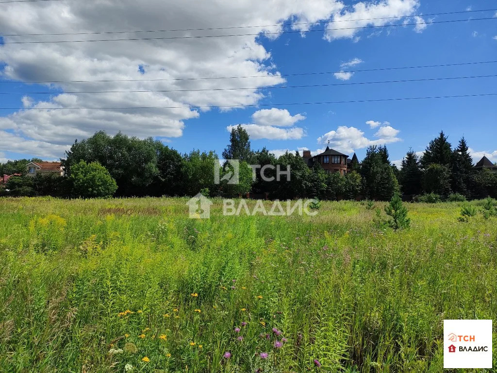 Богородский городской округ, Ногинск, Ново-Богородская улица,  земля ... - Фото 5