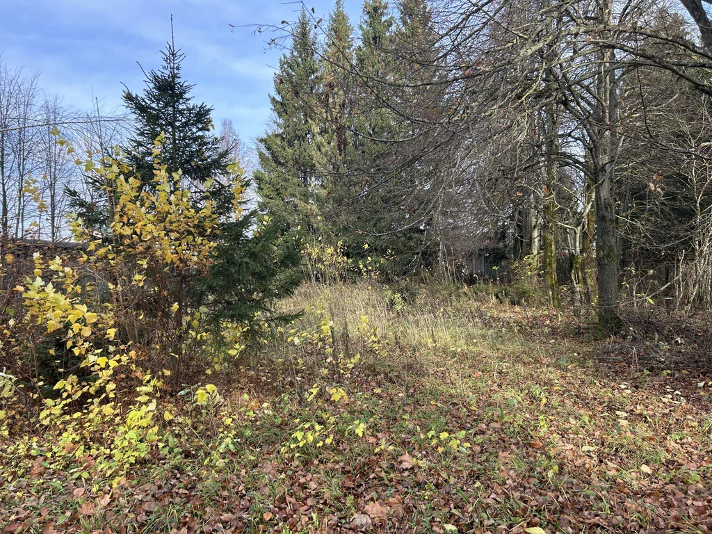 Имущественный комплекс в составе базы отдыха «Ильинское» - Фото 14