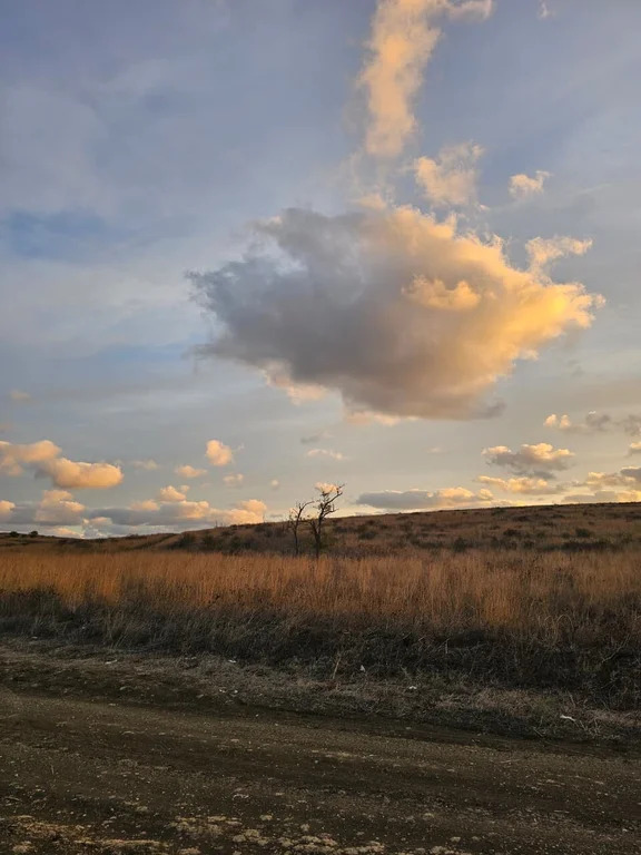 Продажа дома, Тамань, Темрюкский район, улица Казачья - Фото 10