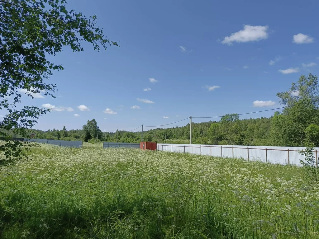Продажа участка, Щемелинки, Шаховской район, Ягодная улица - Фото 6