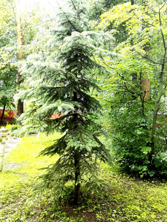 Раменский городской округ, рабочий посёлок Ильинский, Советская улица, ... - Фото 28