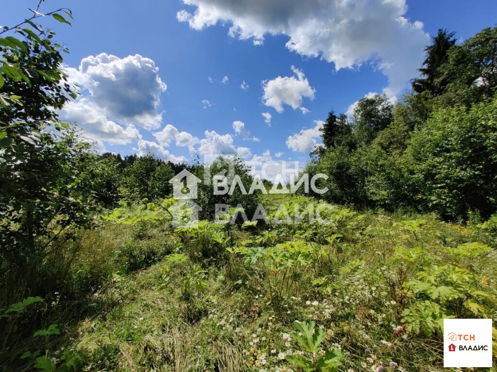 Можайский городской округ, деревня Цыплино,  земля на продажу - Фото 1