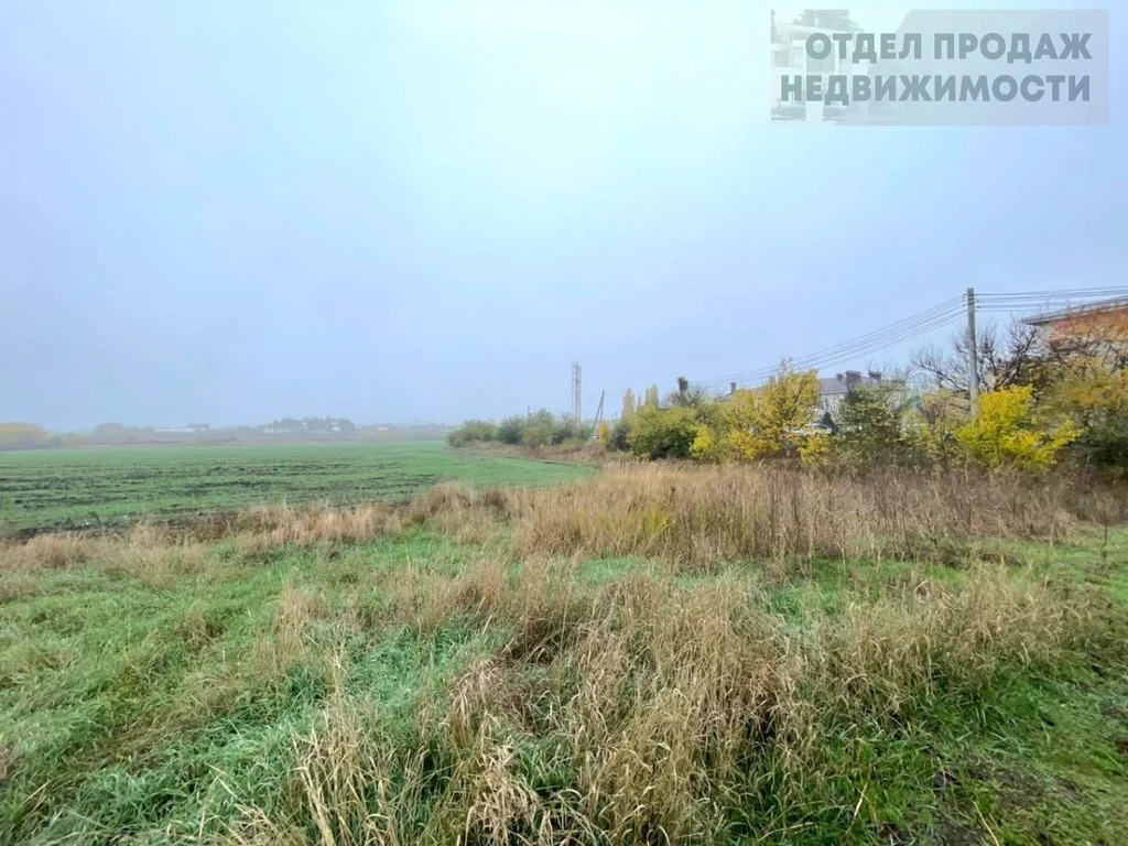 Большой участок - Фото 2