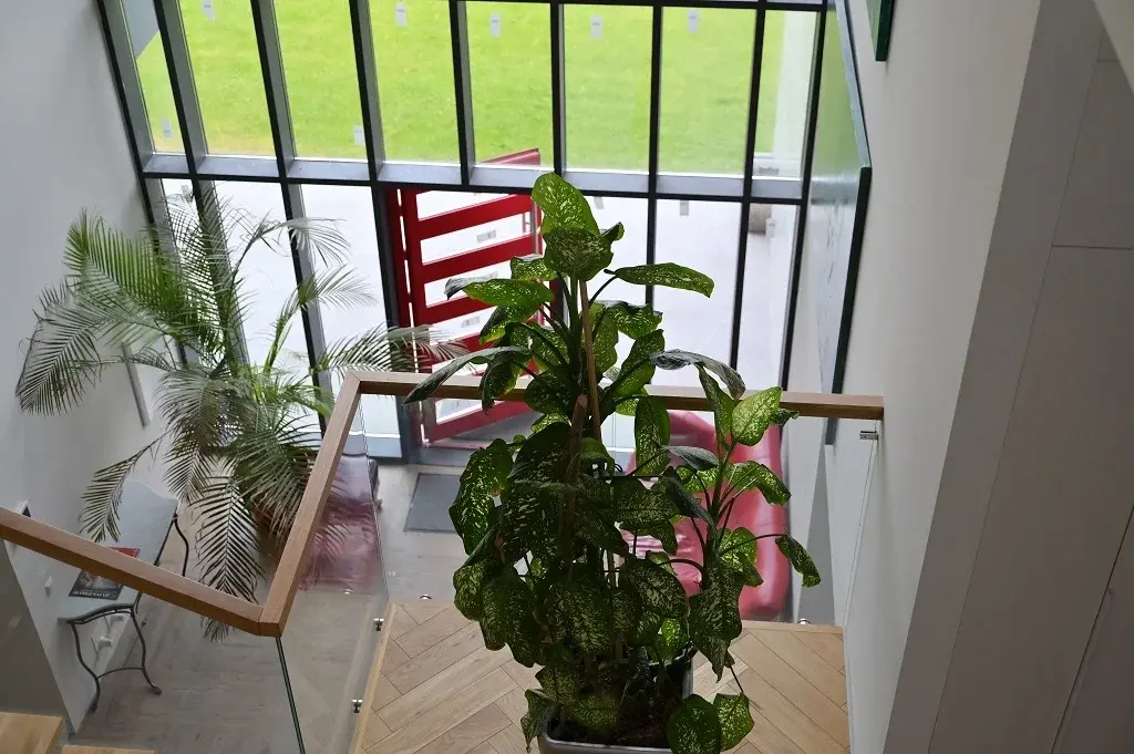 Новый современный дом с вторым светом и бассейном на Риге 10 км отмкад - Фото 14