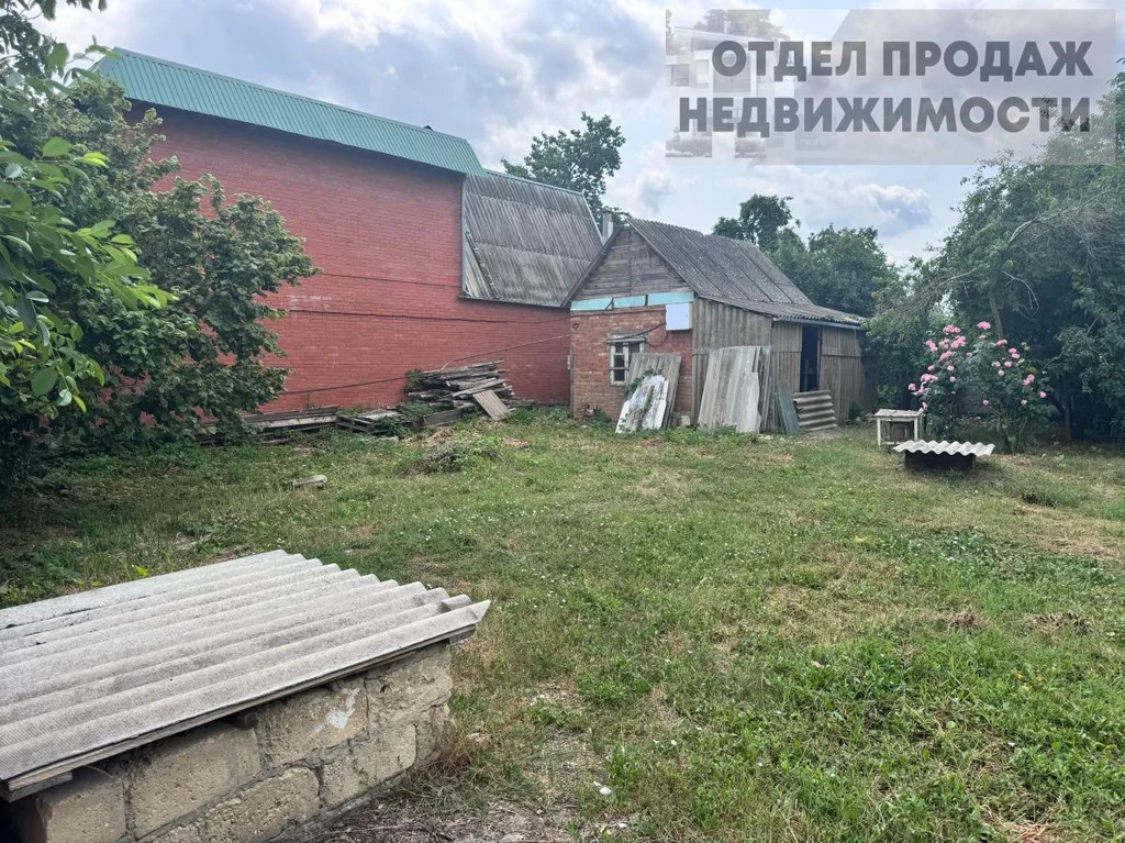 Участок - Фото 4