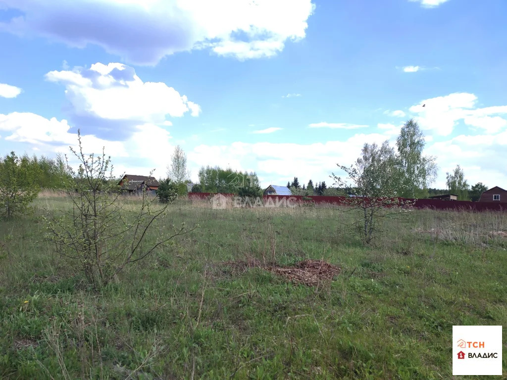 Продажа участка, Тимково, Богородский г. о. - Фото 4